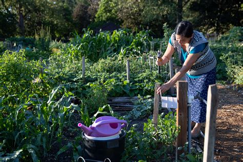 Corvallis P&R Community Gardens | Corvallis Oregon
