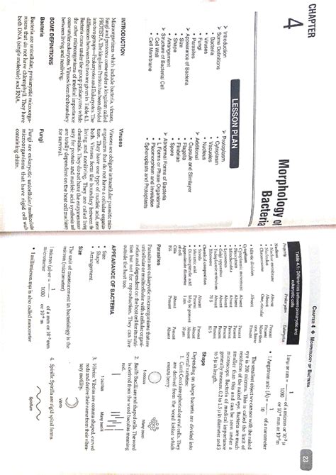 Structure of bacteria - CHAPTER 4 CHAPTER MORPHOLOGY OF BACTERIA 23 4 ...