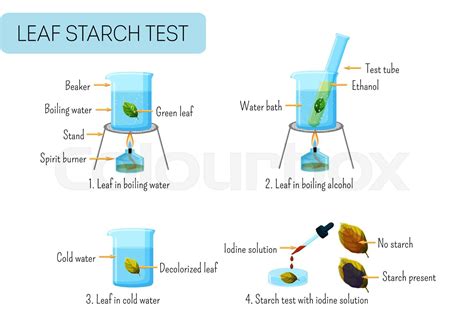 Iodine Solution For Starch Test