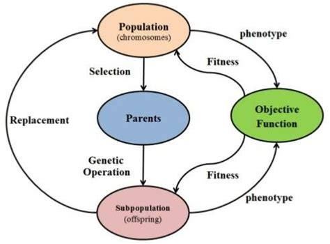 Image result for Evolutionary Algorithms
