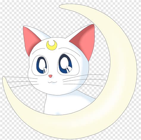 Artemis Luna Sailor Moon Sailor Venus Sailor Mercury, sailor moon ...