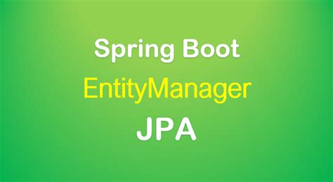 Entity Manager in Spring Boot 的图像结果