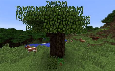 Image result for Medium Minecraft Tree