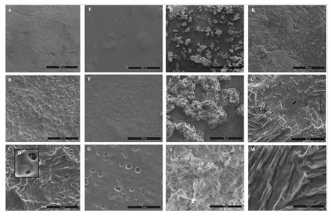 Fabrication and Characterization of Hydrogen Peroxide and Thymol-Loaded ...