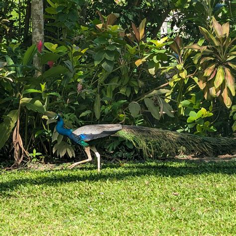 SIRI WEDAMADURA (Mirissa) - Guesthouse Reviews & Photos - Tripadvisor