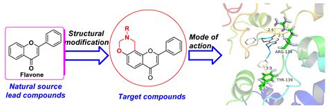 Synthesis and Biological Activity of Novel Oxazinyl Flavonoids as ...