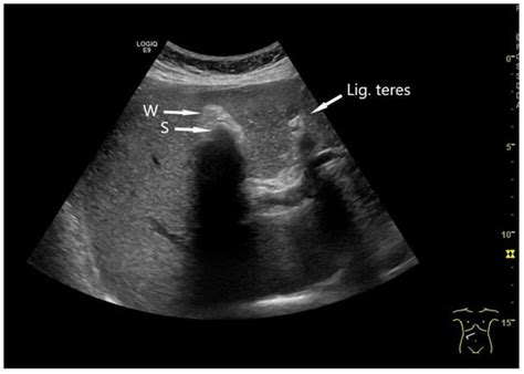 Life | An Open Access Journal from MDPI