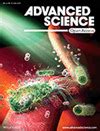 Advanced Science 的图像结果
