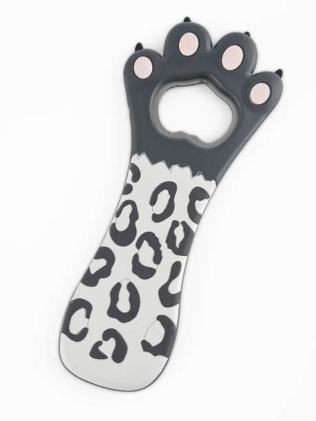 Bottle Openers: Buy Can Opener Online in India | Flipkart.com