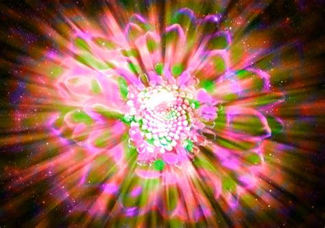 Image result for Neu Mod