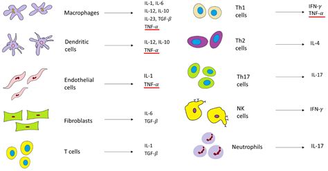 Under the Umbrella of Clinical Pharmacology: Inflammatory Bowel Disease ...