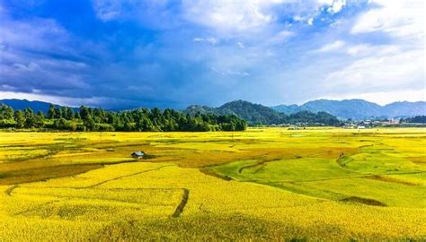 8 Places To Visit In Ziro Valley For A Soulful Holiday