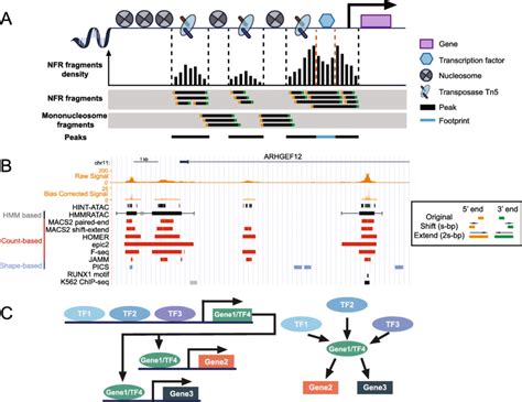 Image result for ATAC-seq Data Analysis