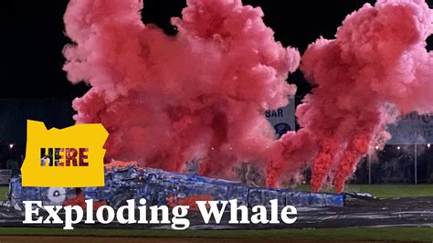 Image result for Exploding Whale Meme