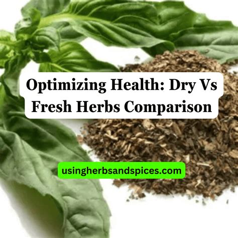 Optimizing Health: Dry Vs Fresh Herbs Comparison - Using Herbs & Spices