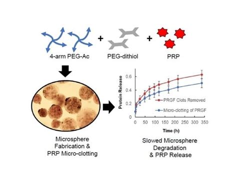 Micro-Clotting of Platelet-Rich Plasma Upon Loading in Hydrogel ...