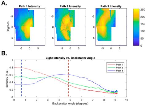 Design Considerations for Murine Retinal Imaging Using Scattering Angle ...