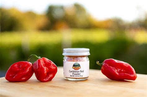 Caribbean Red Habanero Powder – Ohi:yo Pepper Co.