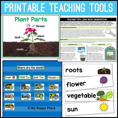 Image result for Primary Science Lessons Plant Distribution