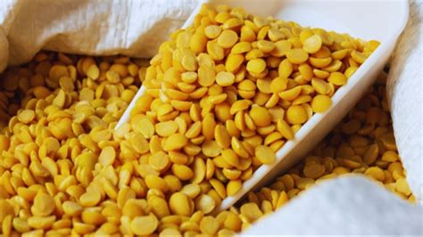 अरहर उत्पादन में दुनिया में नंबर वन है भारत, टॉप 5 राज्यों की भी देखें ...