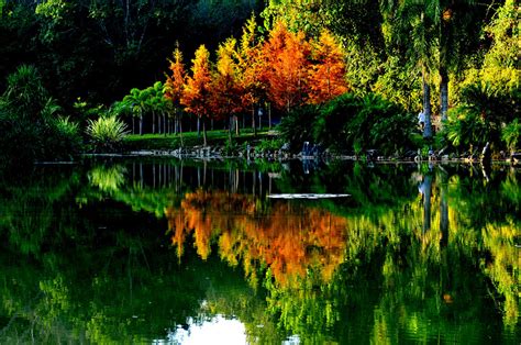 西双版纳博悦旅行社分享十大必去景点之一中科院植物园