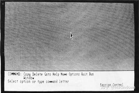 Windows 1.0 File Structure 的图像结果