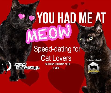 You Had Me at Meow: Speed-dating for Cat Lovers, House of Black Cat ...