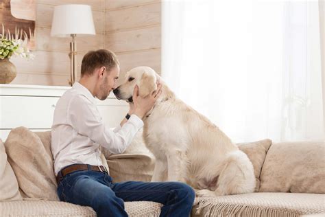 How To Set House Rules for Your New Puppy or Dog - Sunnyside Pet Hospital