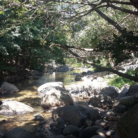 HOTEL CASA IGUANA (Mismaloya) - Hotel Reviews, Photos, Rate Comparison ...