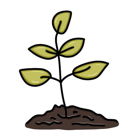 Sprout clip art Images - Free Download on Freepik