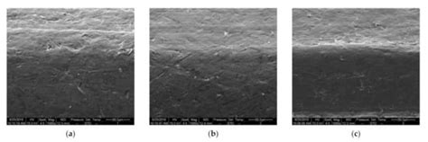 Piston Rod Coating Material Study of Reciprocating Sealing Experiment ...