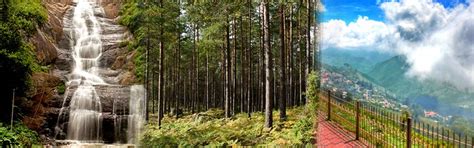 Top 10 Hidden Gems in Kodaikanal You Must Visit in 2025 - Kodai ...