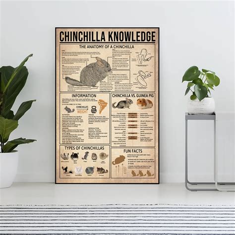 600 Grams Into Pounds