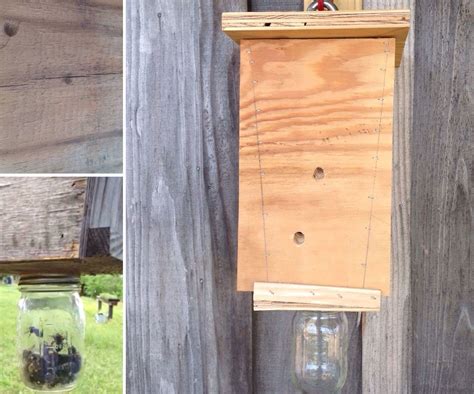 Carpenter Bee Trap : 7 Steps (with Pictures) - Instructables