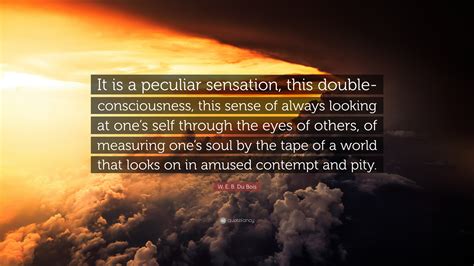 W. E. B. Du Bois Quote: “It is a peculiar sensation, this double ...
