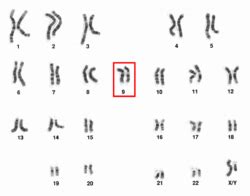 Image result for SetEnvironmentVariable Cannot Set Path