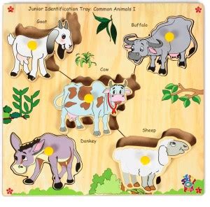 SKILLOFUN Skillofun Junior Identification Tray - Common Animals - I ...