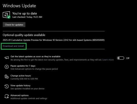 Display Driver Installation 的图像结果