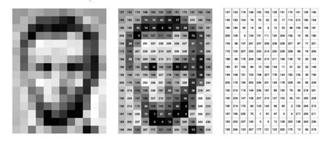 Image result for Skimage Python Introduction