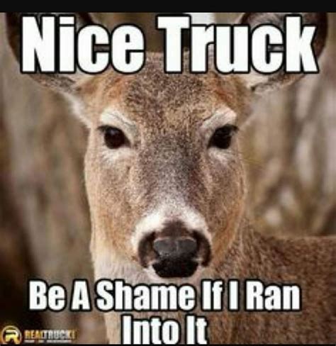 Deer Meme Video