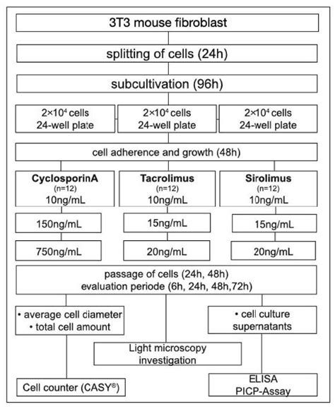 Image result for Pre-Lab Flow Chart