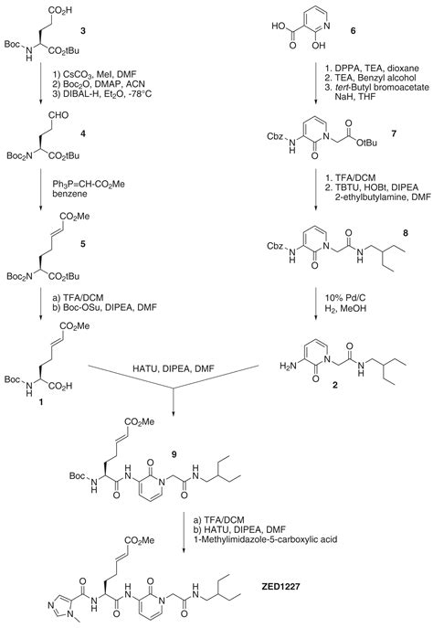 Features of ZED1227: The First-In-Class Tissue Transglutaminase ...