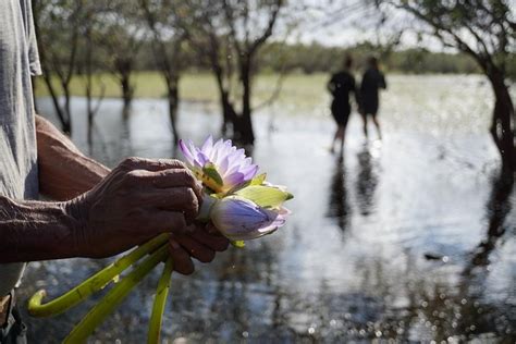 ROOGENIC (2026) All You Need to Know BEFORE You Go (with Photos ...