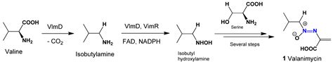 Azo Dyes and the Microbial World: Synthesis, Breakdown, and Bioactivity
