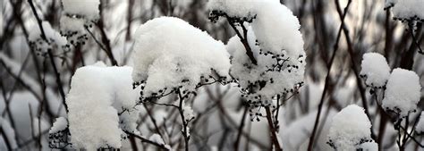 Boron Funeral Home | Pittsburgh PA funeral home and cremation