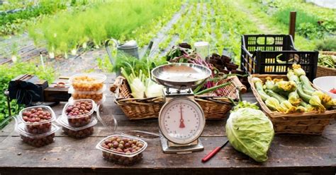 Farm-To-Table 的图像结果