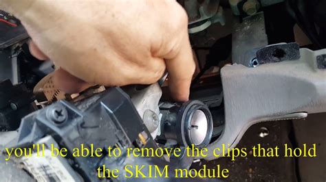 Skim Module Replacement 的图像结果