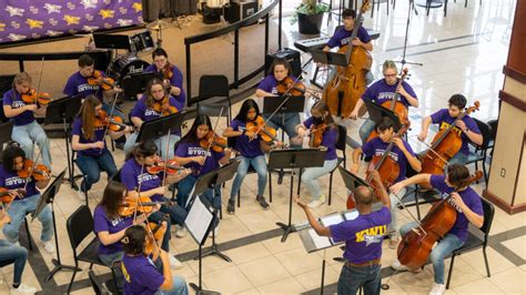 Image result for Orchastra String Instruments