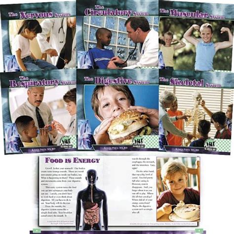 The Human Body : Petrie, Kristin: Amazon.in: Books