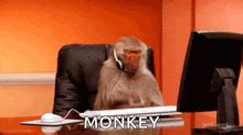 Image result for Monkey Throw Computer